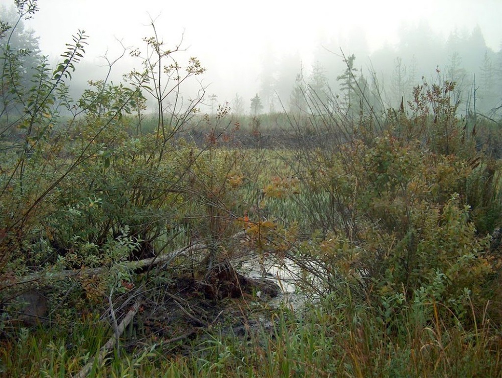 John Hargrove Environmental Complex Wetlands and Nature Trails