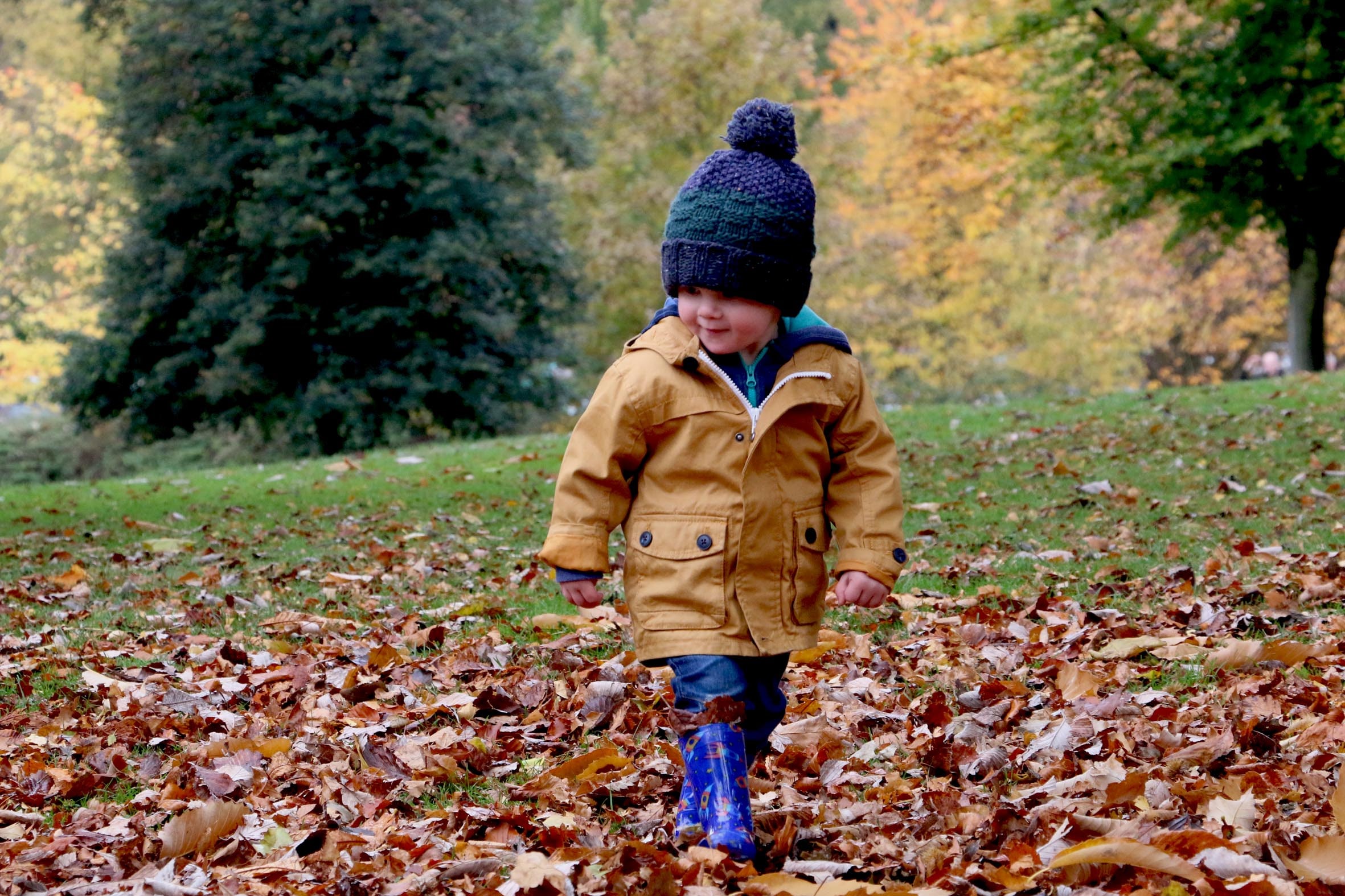 Best Fall Activities for Toddlers